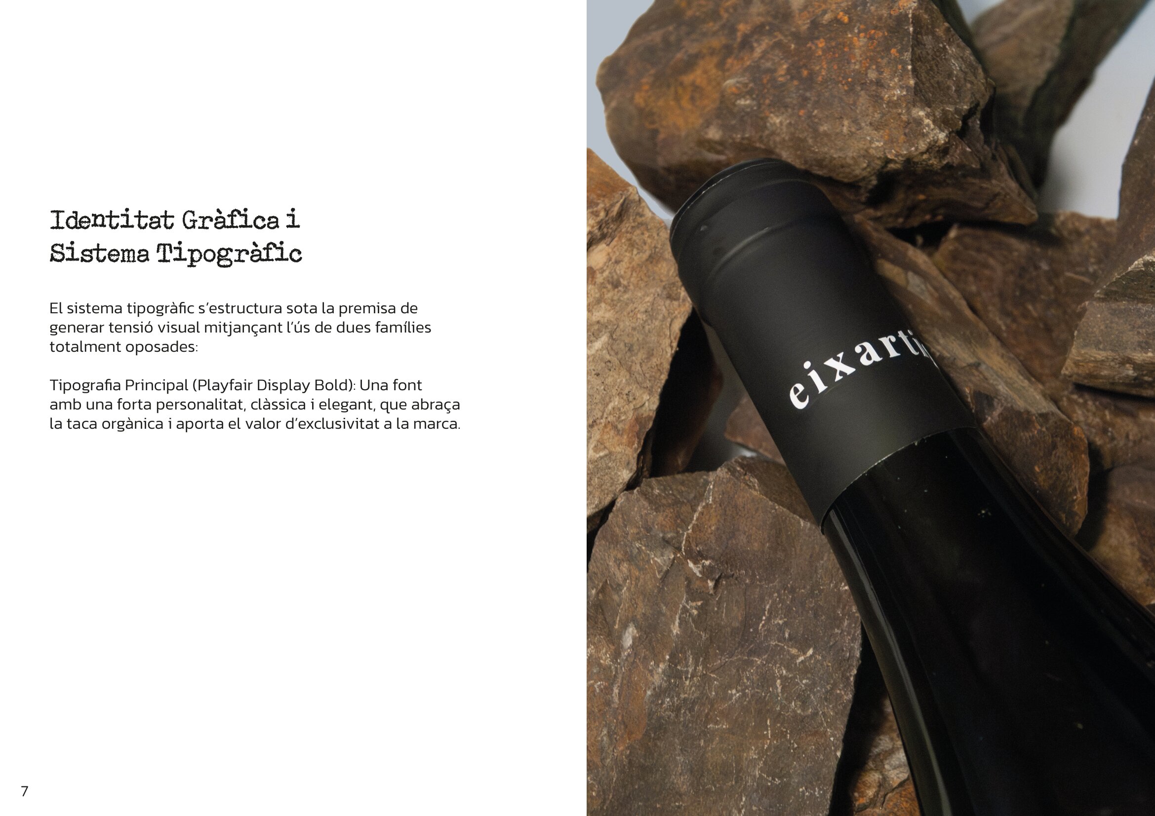 Presentació Eixartigar Pàgina 6