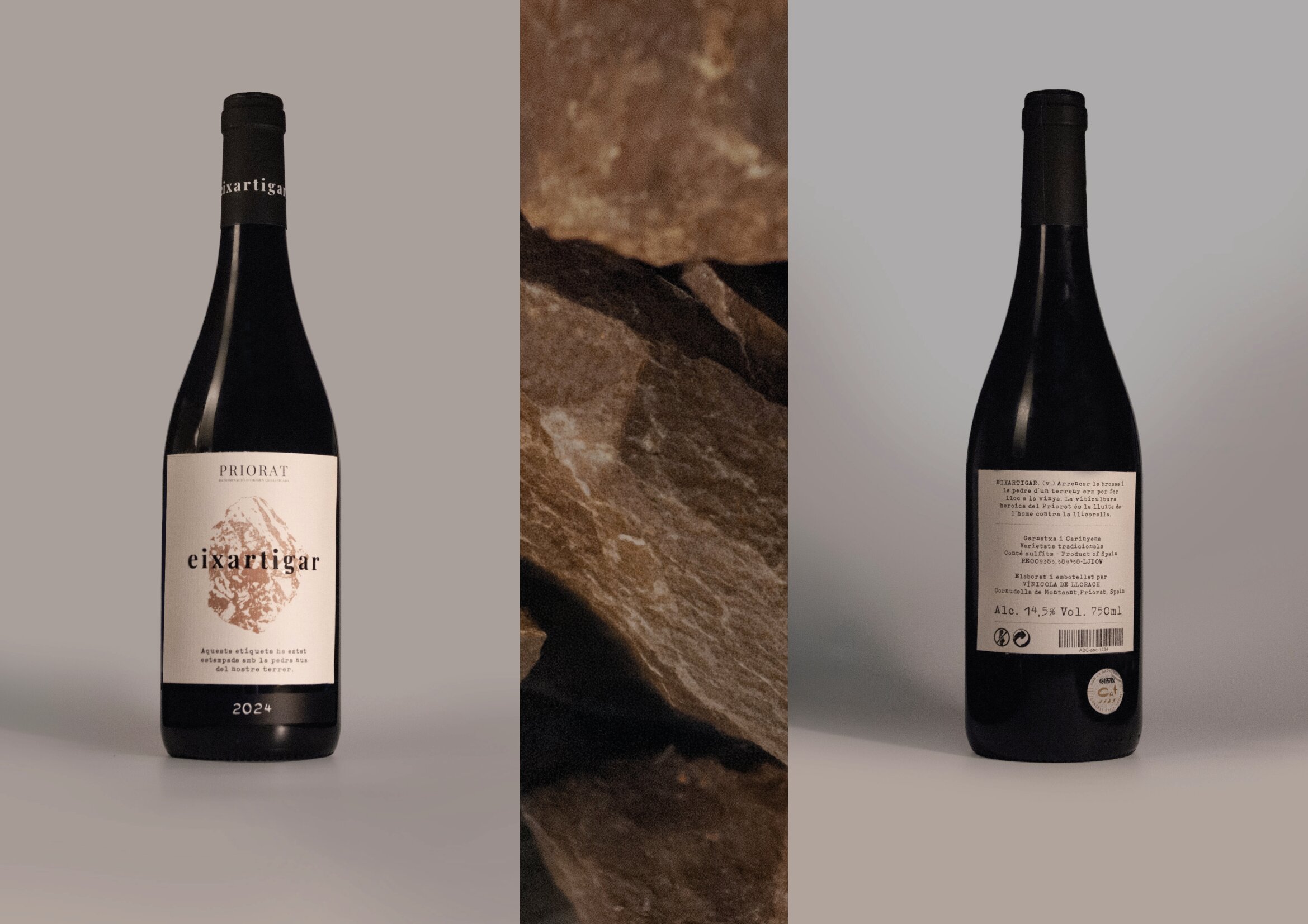 Presentació Eixartigar Pàgina 19